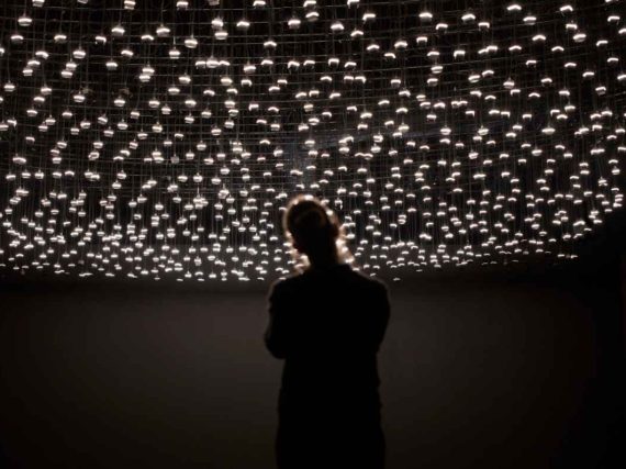 Rafael Lozano-Hemmer llega al MAM con la exposición nocturna Jardín inconcluso