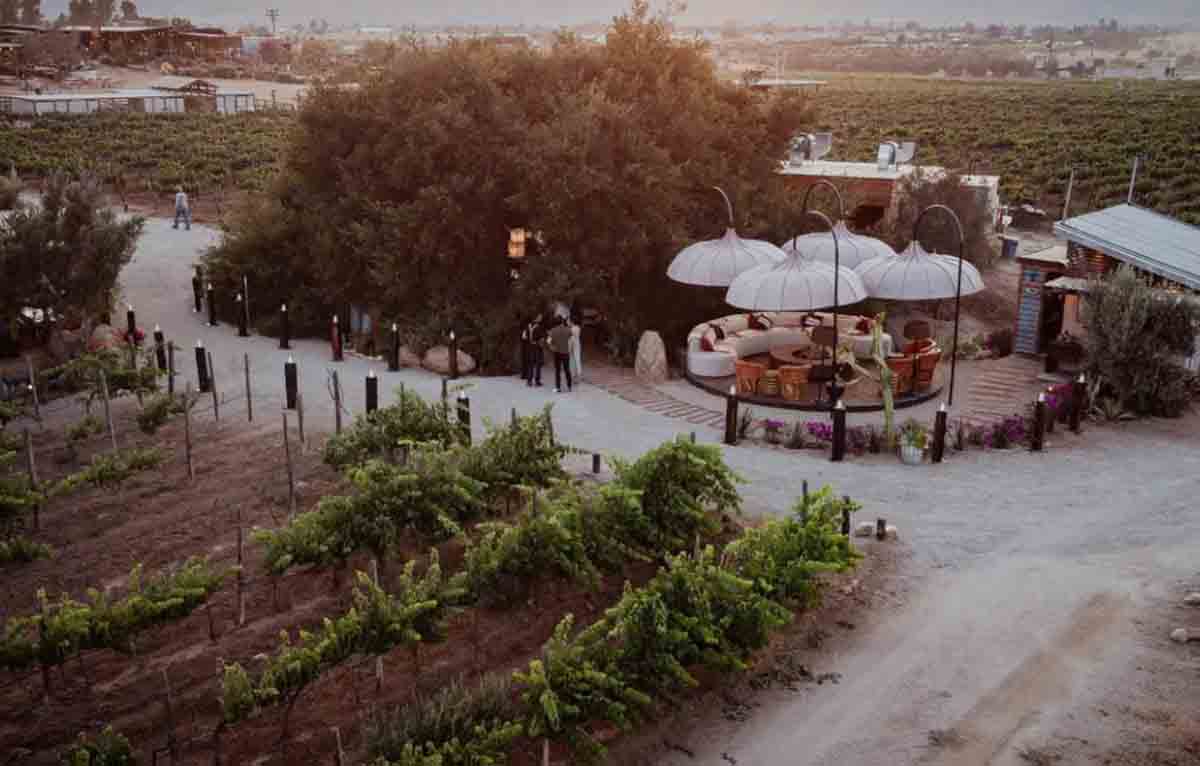 restaurantes-open-table-2