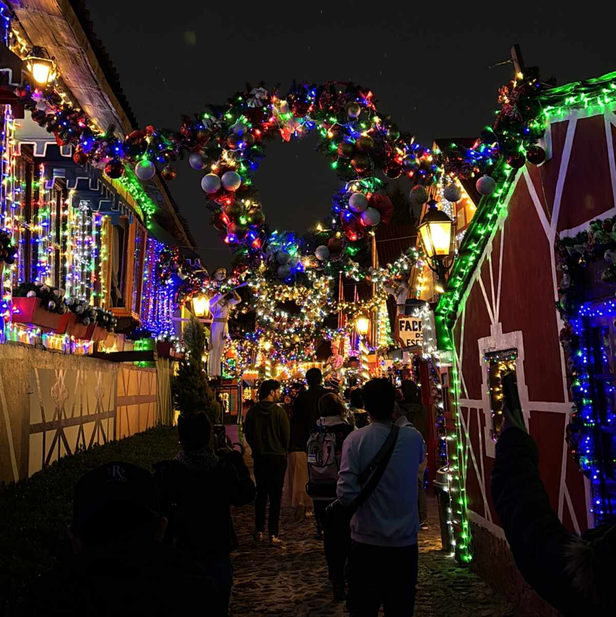 Tour de mariposas monarca desde CDMX