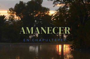 Tour en bici al amanecer por Chapultepec: una experiencia única en CDMX