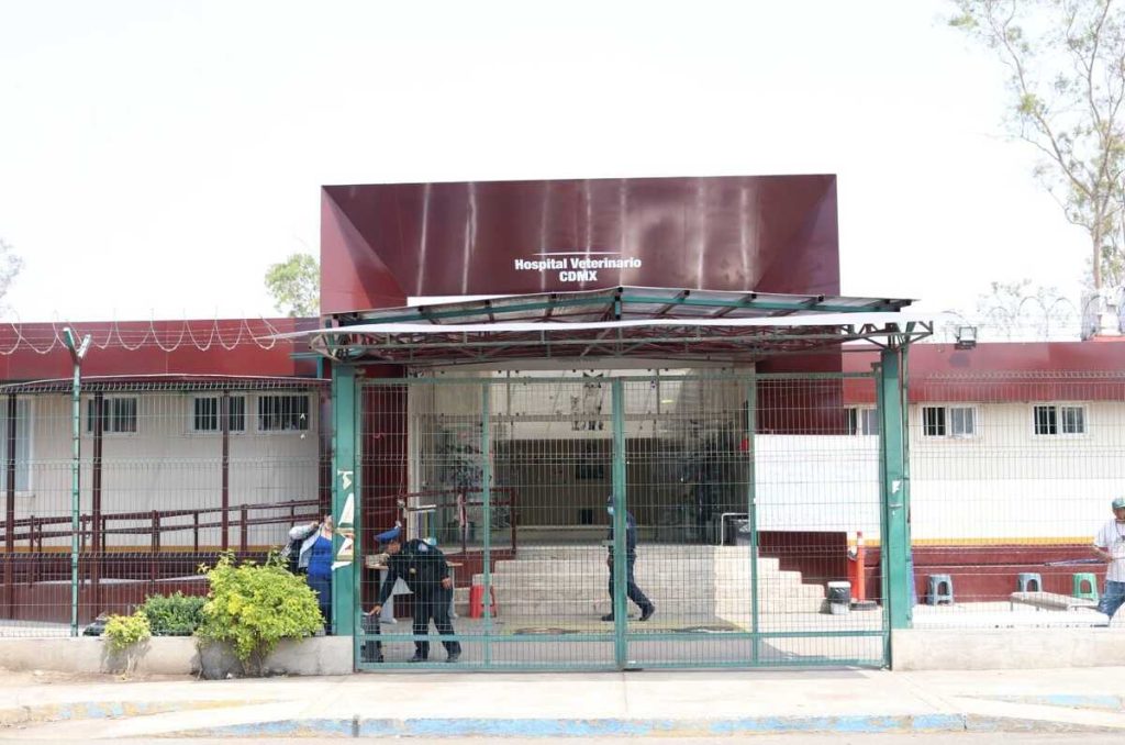 Hospitales veterinarios gratuitos o baratos en CDMX ¡Conócelos!