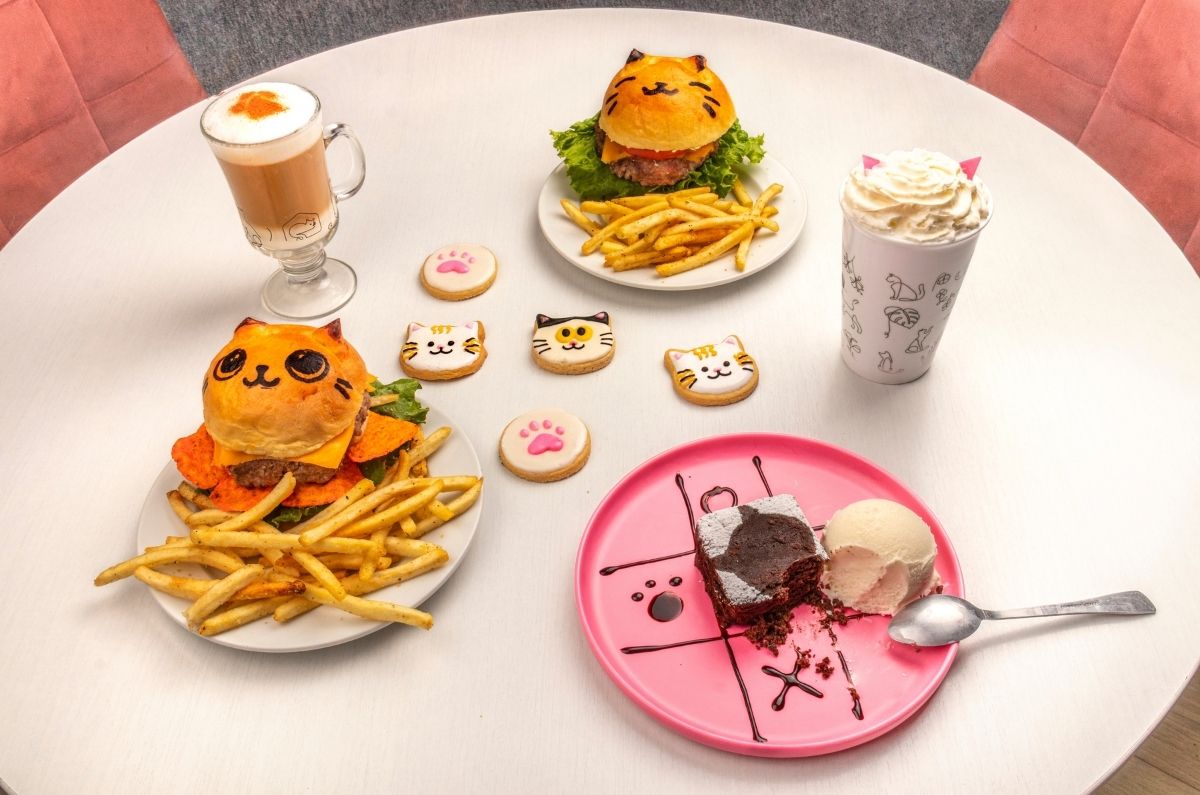 Celebra el Día del Gato en Catfecito: café, michis y adopción en la Condesa