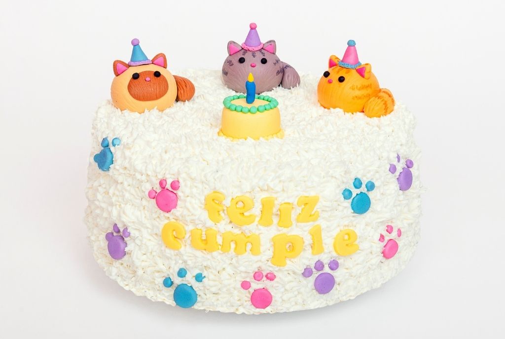 20 de febrero Día del Gato