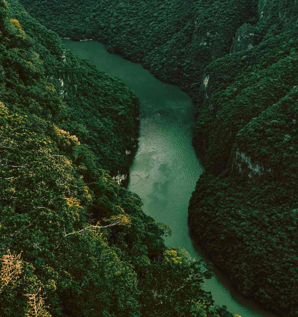 Chiapas lanza la gira Extraordinario por Naturaleza en CDMX, anunciando nuevas rutas de AeroBalam y rutas de aventura