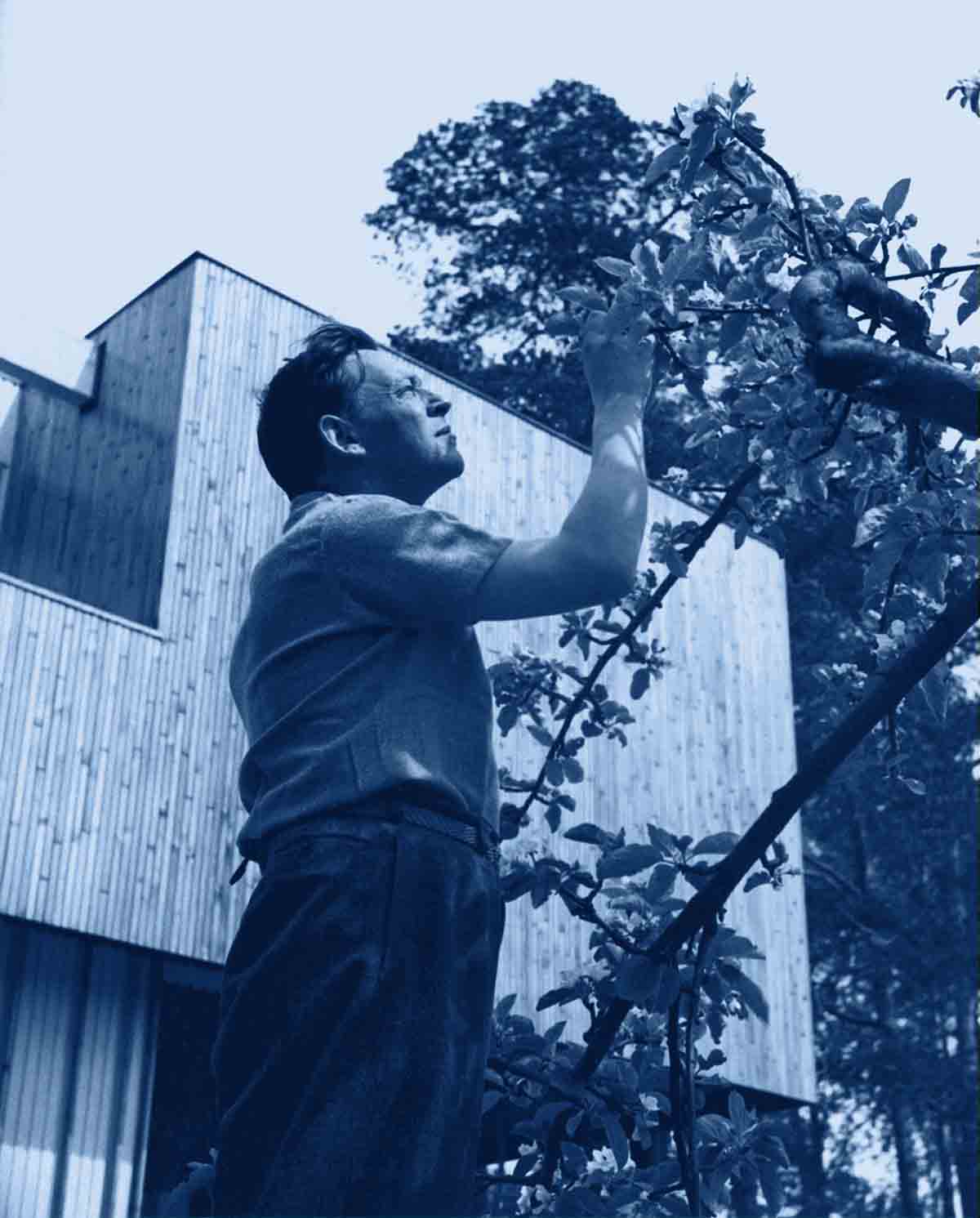 ciclo-desdefinlandia-aalto-2