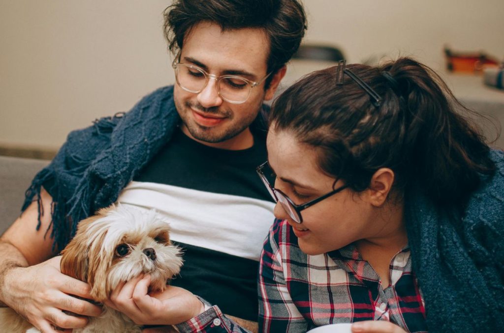 Cita a ciegas para adoptar perritos este San Valentín en la CDMX