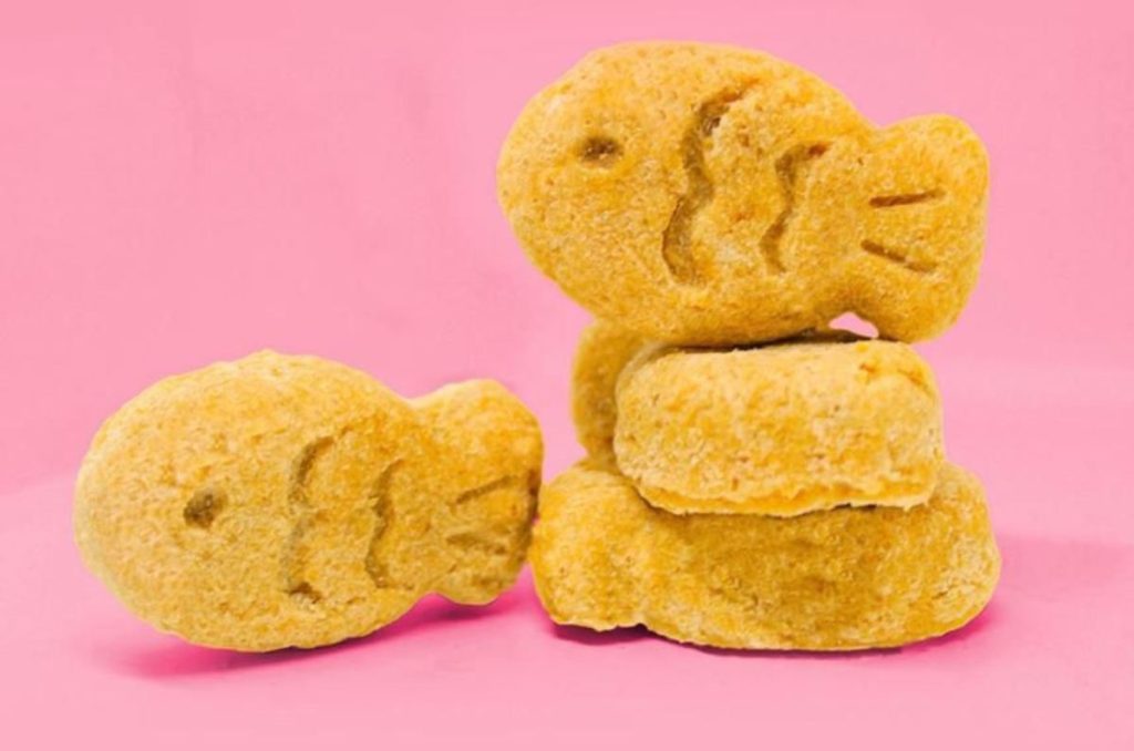 postres para perros y gatos PaChu Mx