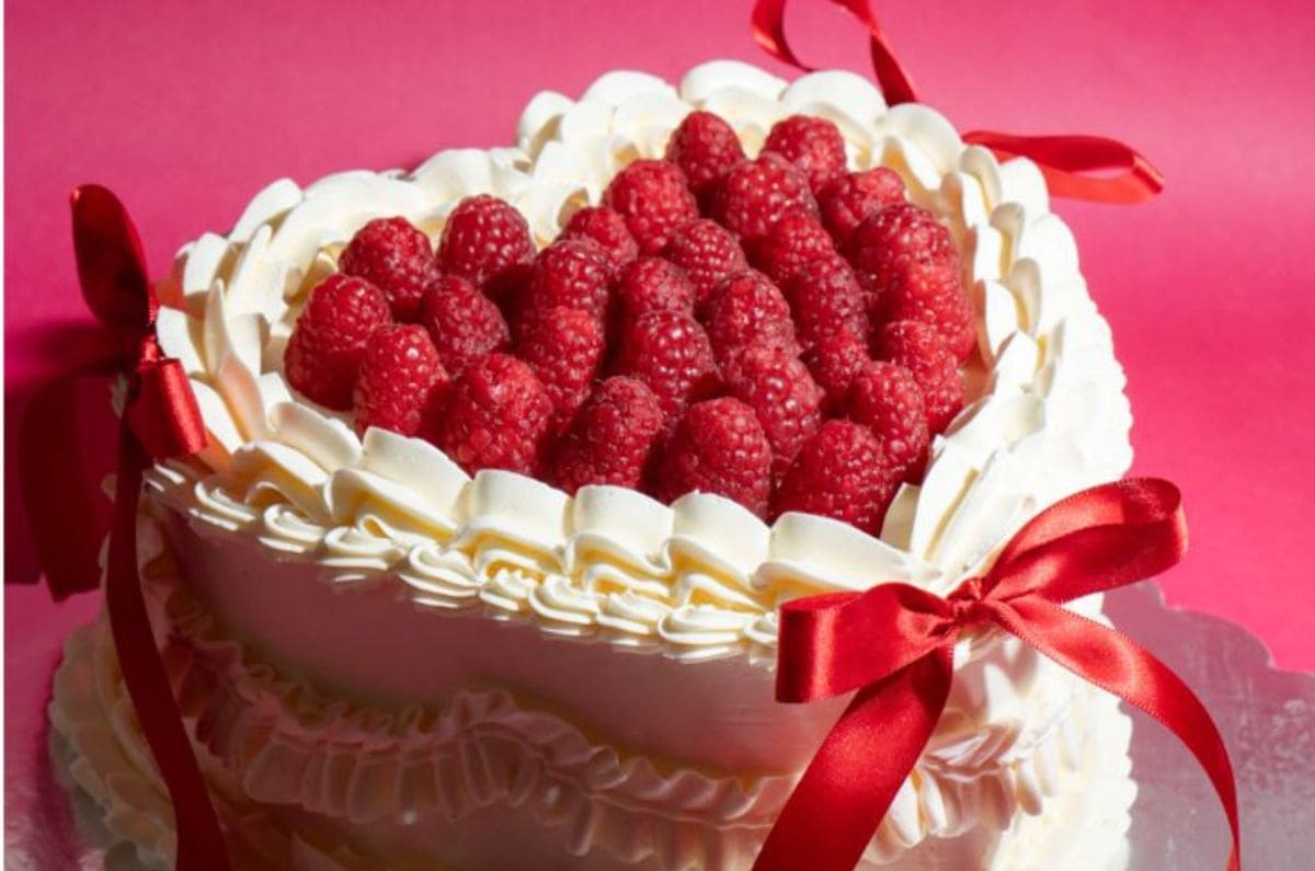 diseno-sin-titulo-2-1