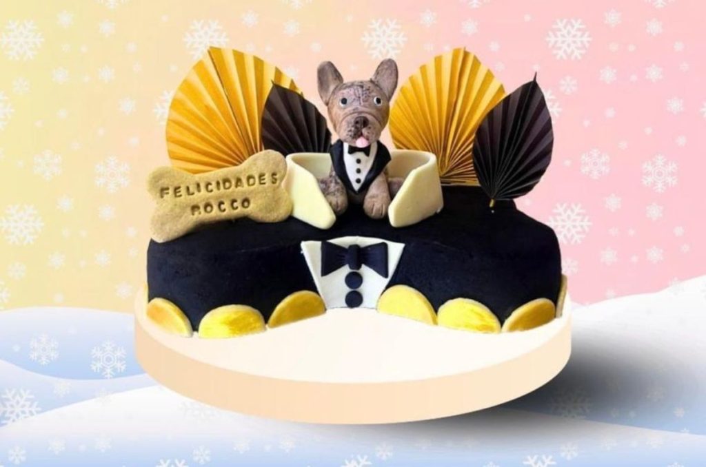 Pasteles para perros de PaChu Mx