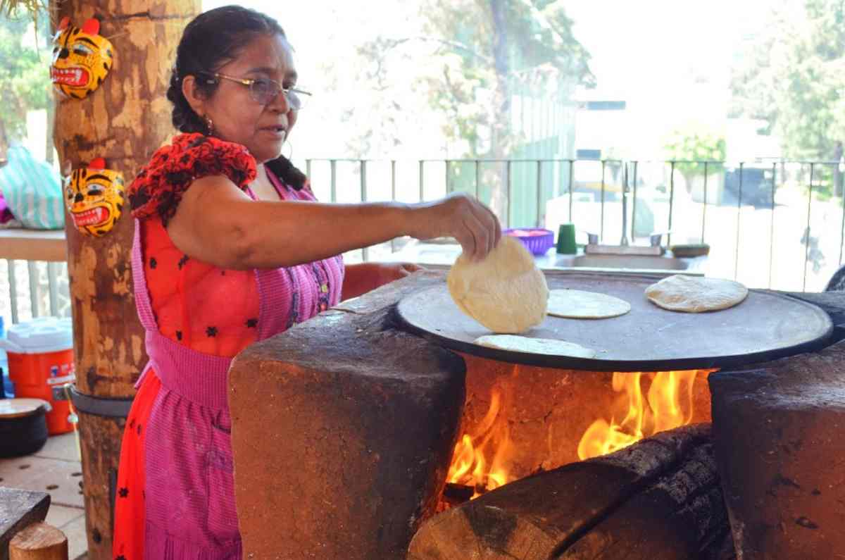 guerrero-en-los-pinos-4