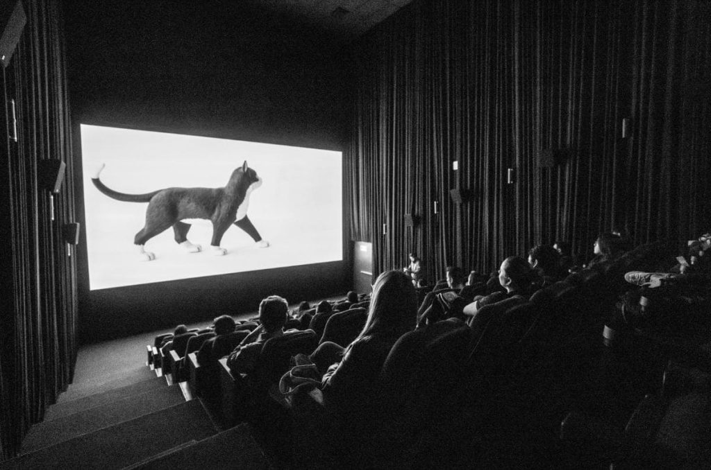 La Muestra Infantil de Cine Educativo llega por primera vez a la CDMX 1