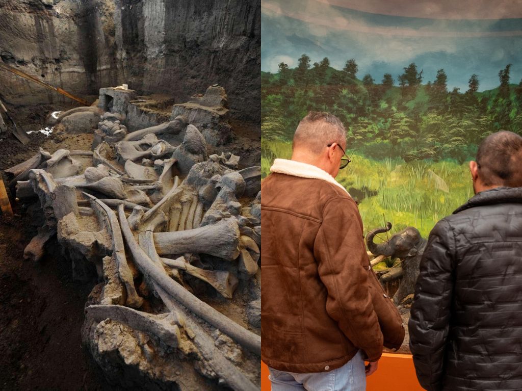 La entrada al Museo del Mamut es completamente gratis