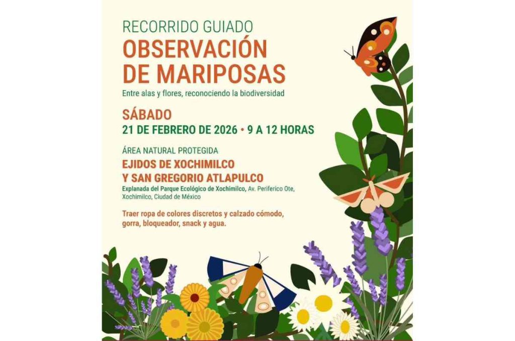 Observación de mariposas en los Ejidos de Xochimilco y San Gregorio Atlapulco