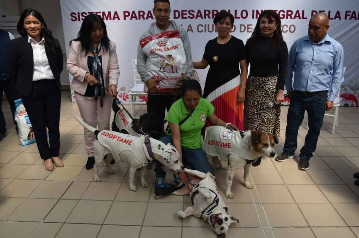 ¡DIF CDMX ayudará a peluditos con croquetas!