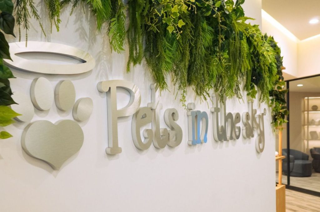 Foto: Cortesía Pets in the Sky