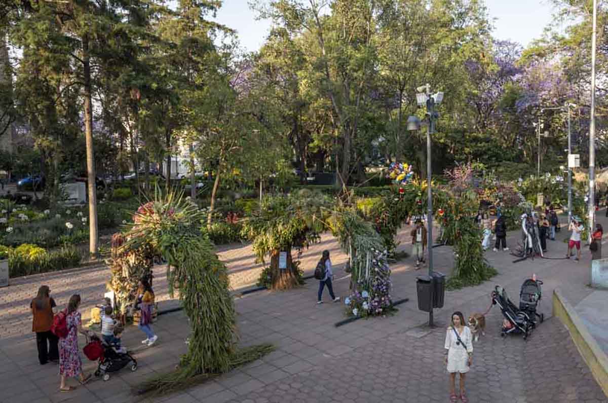 FYJA Inmersiones 2026: rutas de paisaje, botánica y arquitectura de México