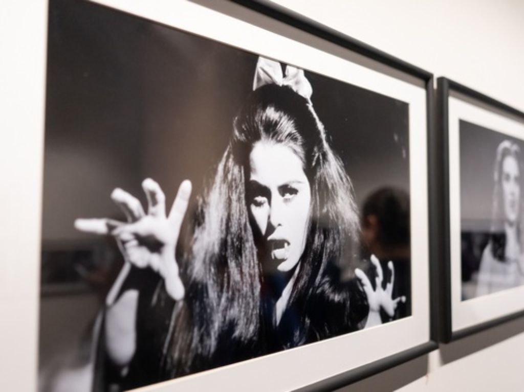 Si eres fan de las películas de terror, y del cine mexicano, no te puedes perder la expo “Maravillosas, monstruosas” 