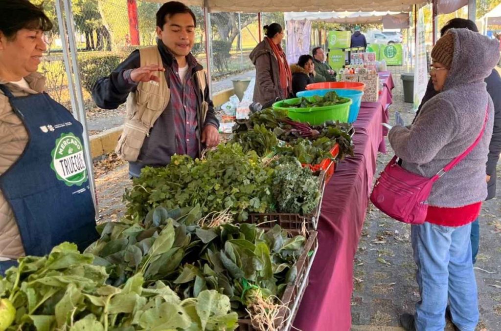 14 AÑOS Reciclando Juntos: Participa en el Mercado del Trueque 8M en Tlalpan