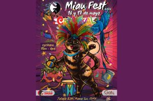 Miau Fest 2026: el evento en CDMX para amantes de los Michis con adopción y muchas actividades