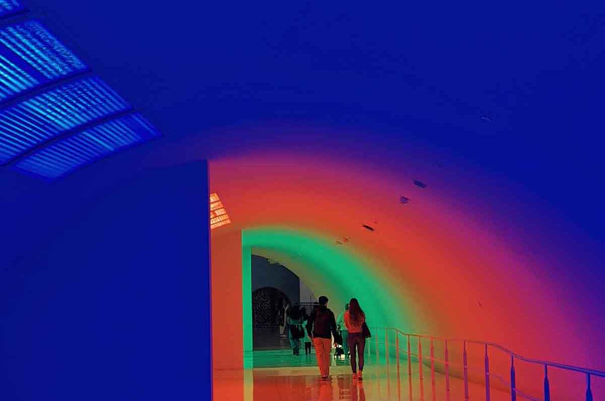 Guía Museo de Bellas Artes de Houston: Picasso, Magritte, Monet