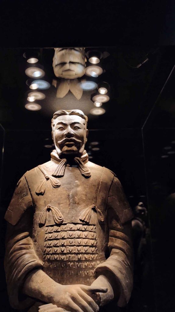 Explora el Houston Museum of Natural Science: dinosaurios, mariposario, pantalla gigante y un viaje al Antiguo Egipcio