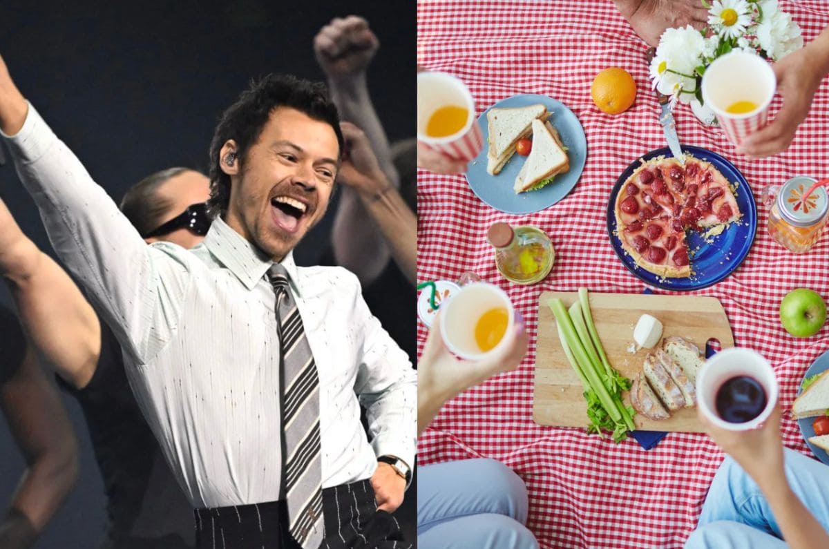 No te pierdas este picnic temático de Harry Styles en CDMX