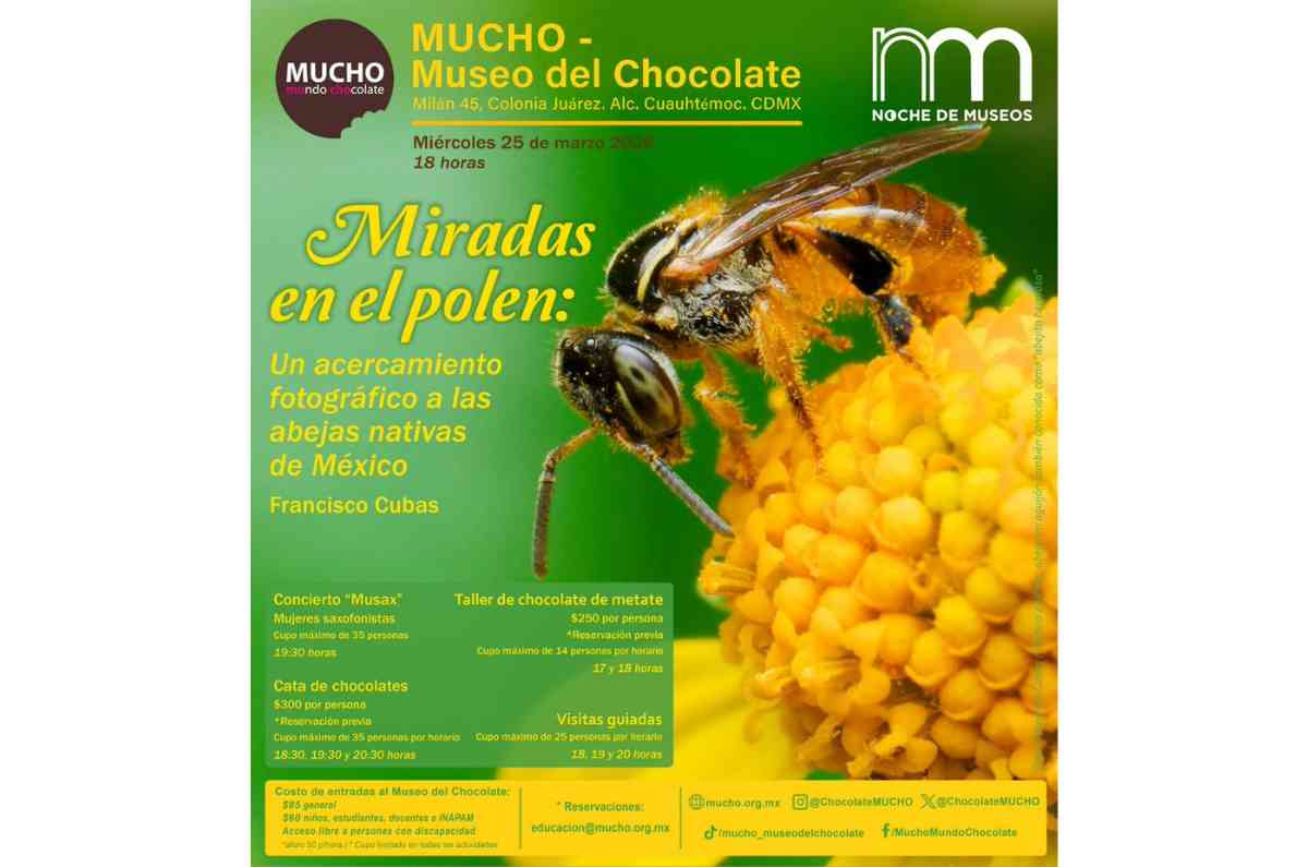 3. Miradas en el polen en MUCHO