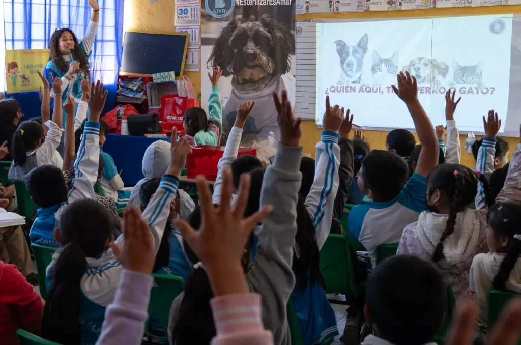 Así fue una jornada gratuita de salud animal con Royal Canin en Edomex 2