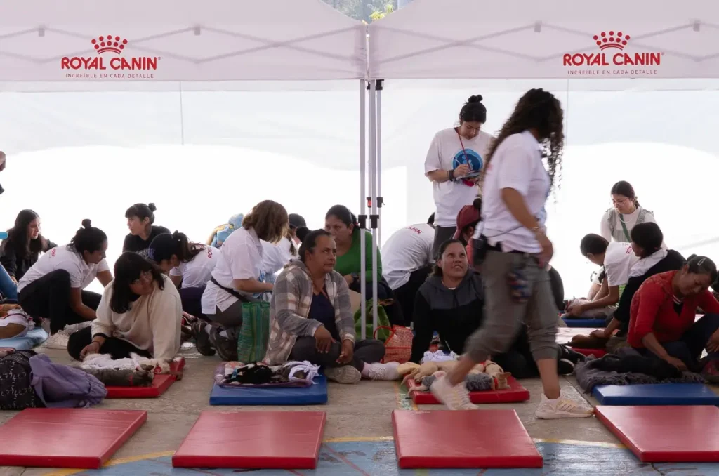 Así fue una jornada gratuita de salud animal con Royal Canin en Edomex