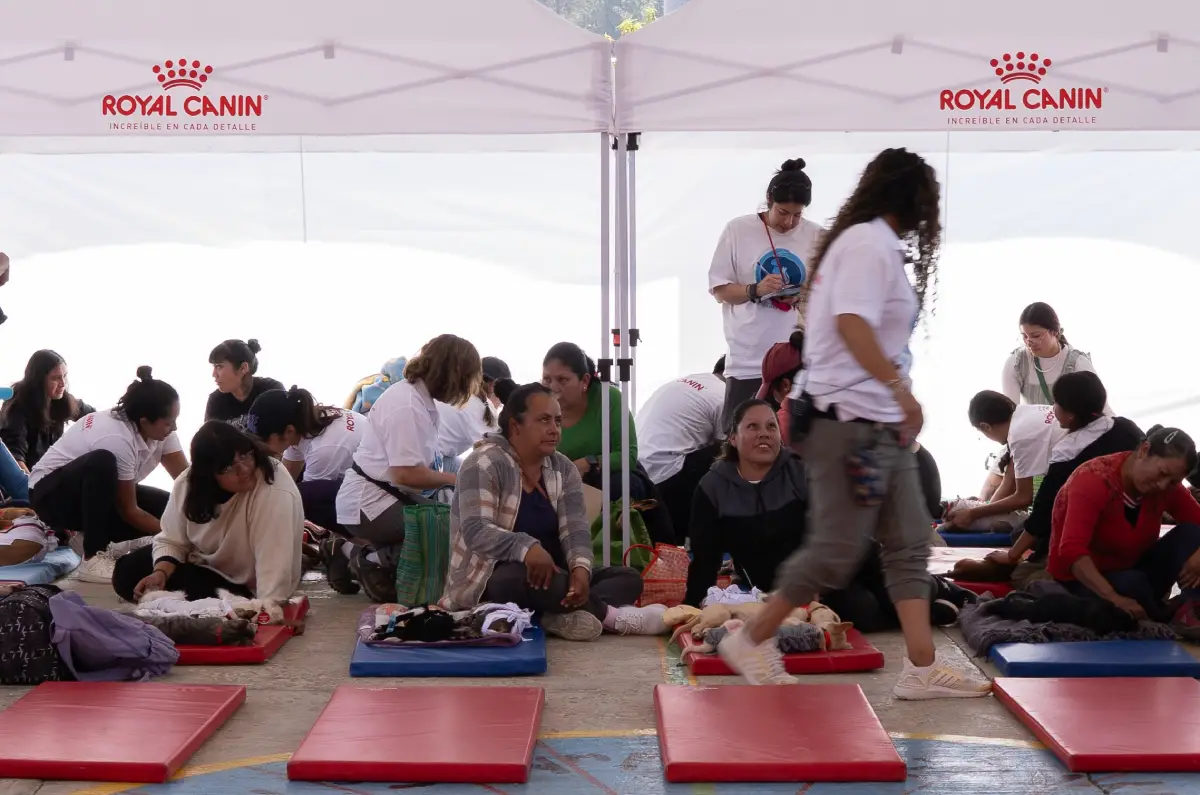 Así fue una jornada gratuita de salud animal con Royal Canin en Edomex