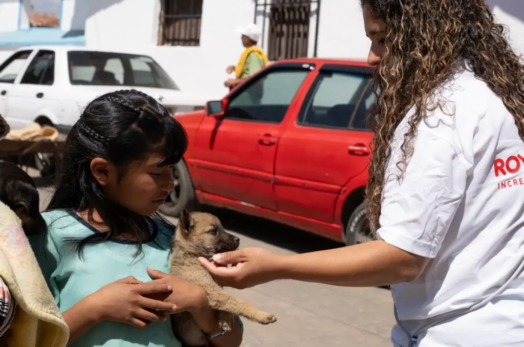 Así fue una jornada gratuita de salud animal con Royal Canin en Edomex 0