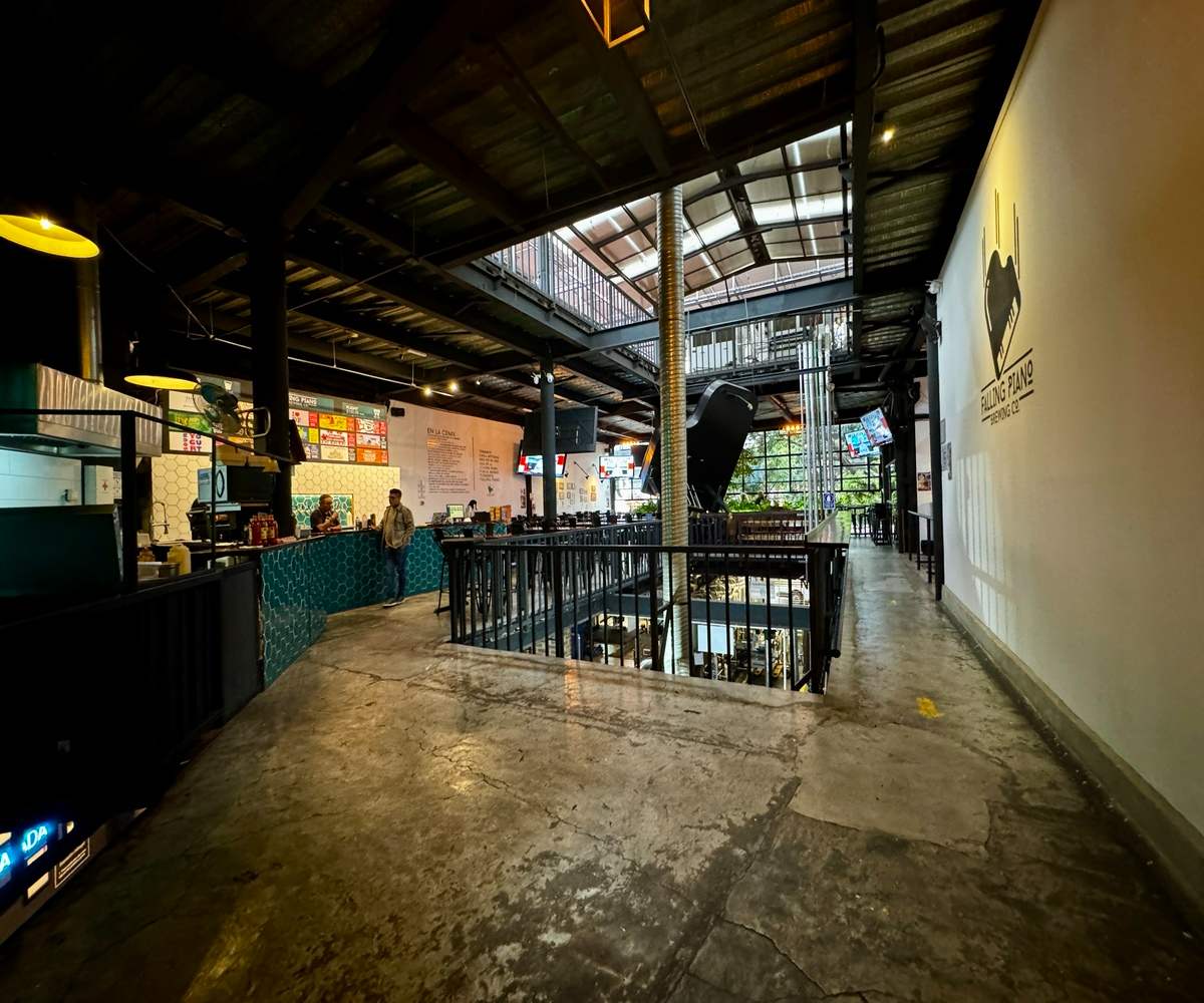 Celebra el St Patrick´s Day 2026 en CDMX