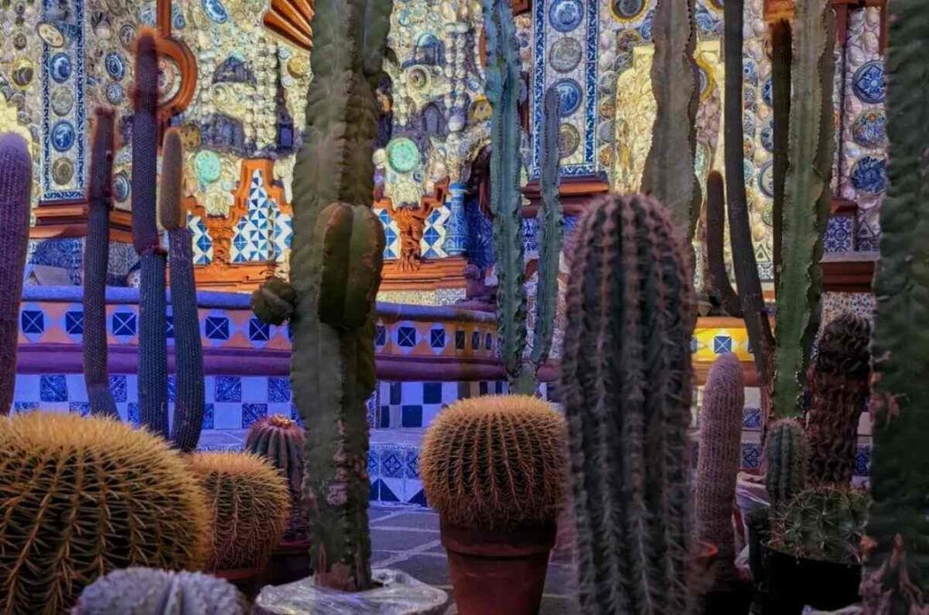 Festival de las Cactáceas en el Museo Casa del Risco: plantas, talleres y más