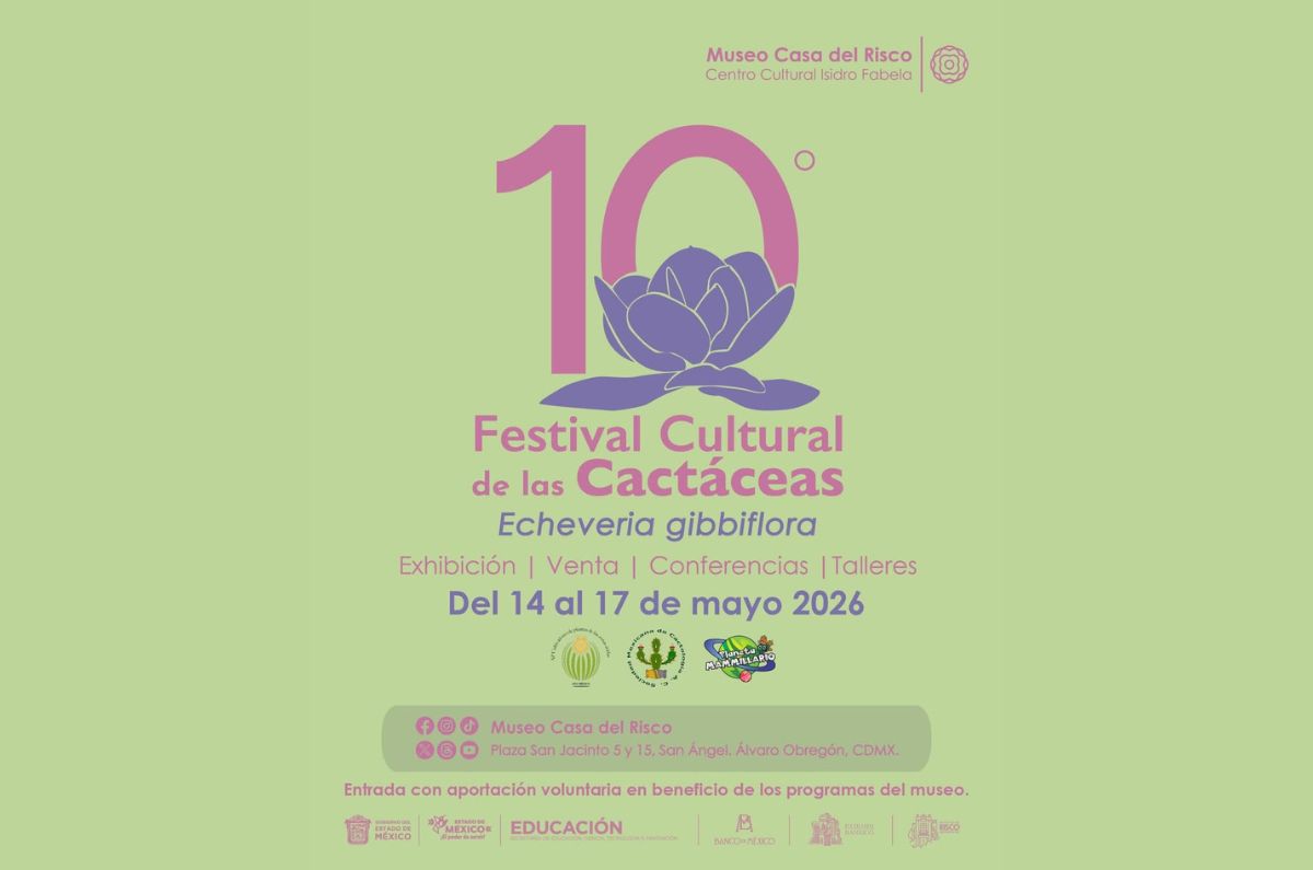 ¿Eres la señora de las plantas? Festival de las Cactáceas en el Museo Casa del Risco: plantas, talleres y más