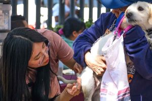 Lánzate a la Feria del Bienestar Animal en Tlalpan ¡Es GRATIS!