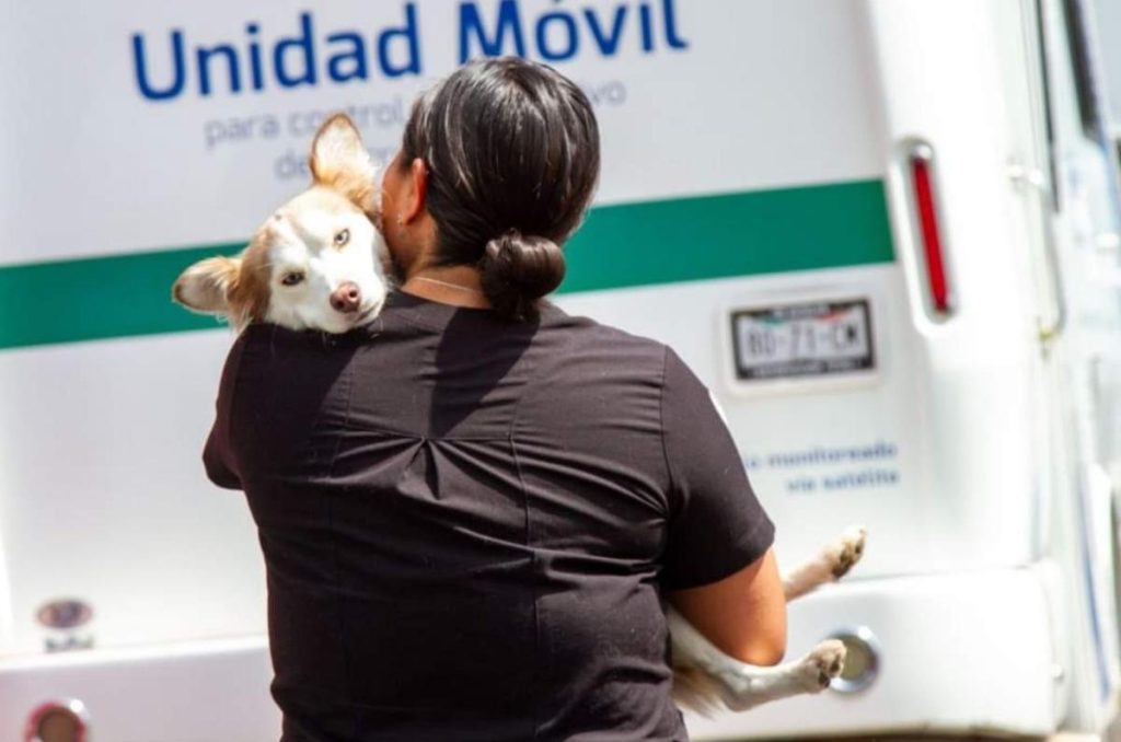 Esterilización AGATAN 2026 