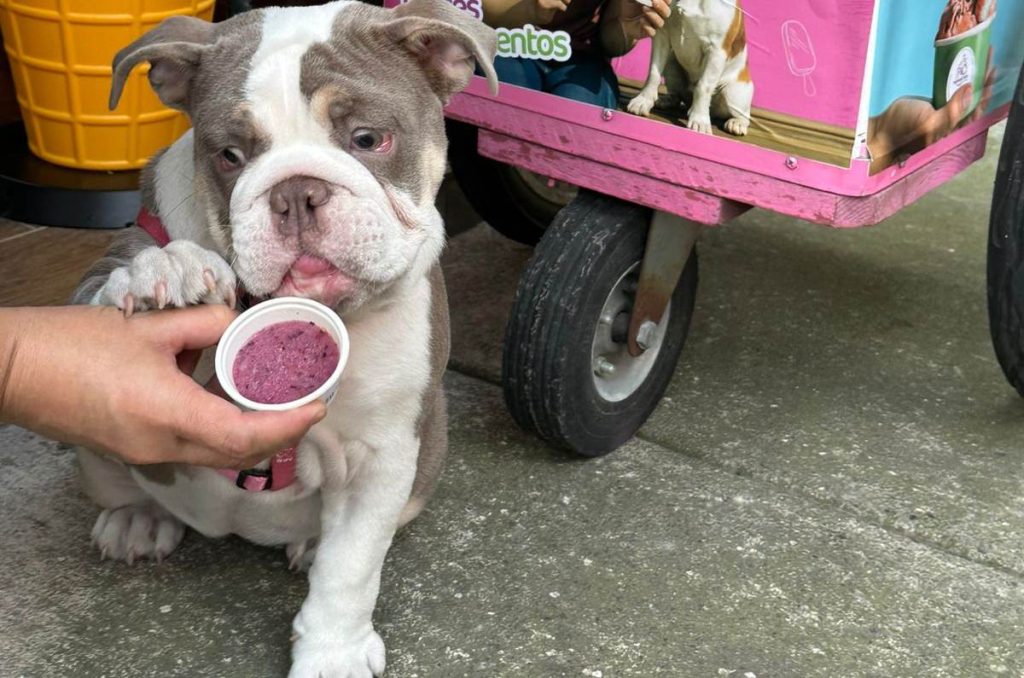 Dulces Momentos by Canhijitos: la fuente de sodas donde tú y tu lomito son los protagonistas 