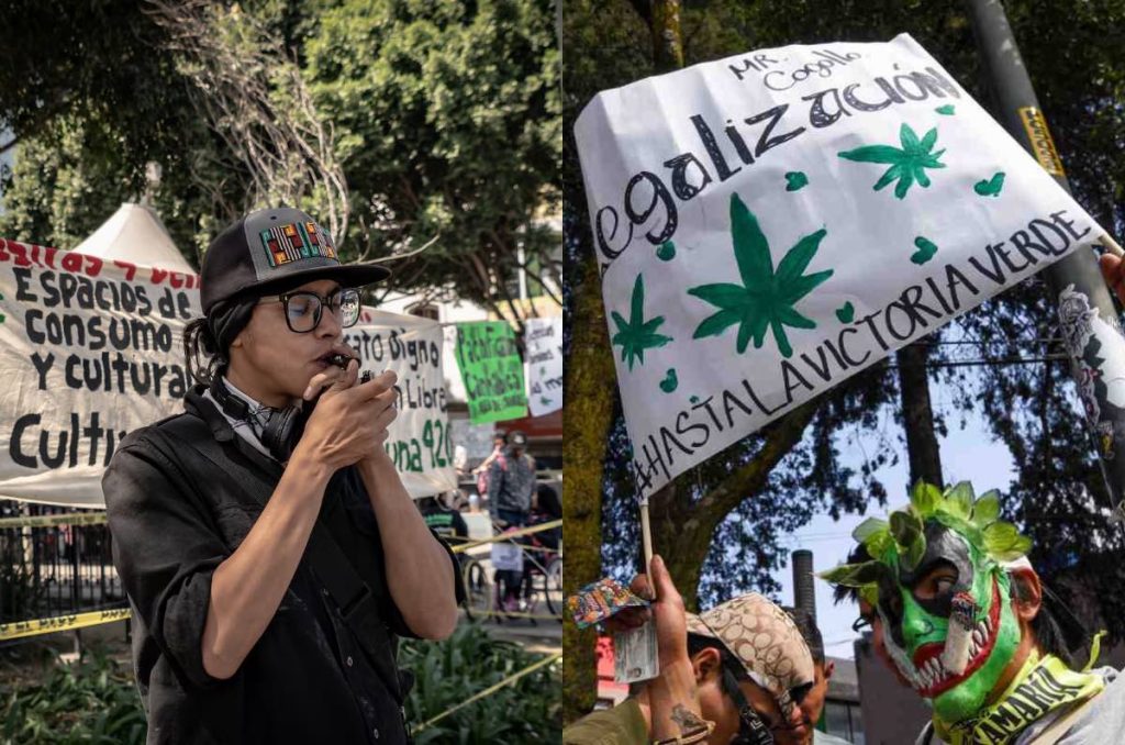 Día por la liberación de la marihuana en CDMX: Fecha y ruta de la marcha