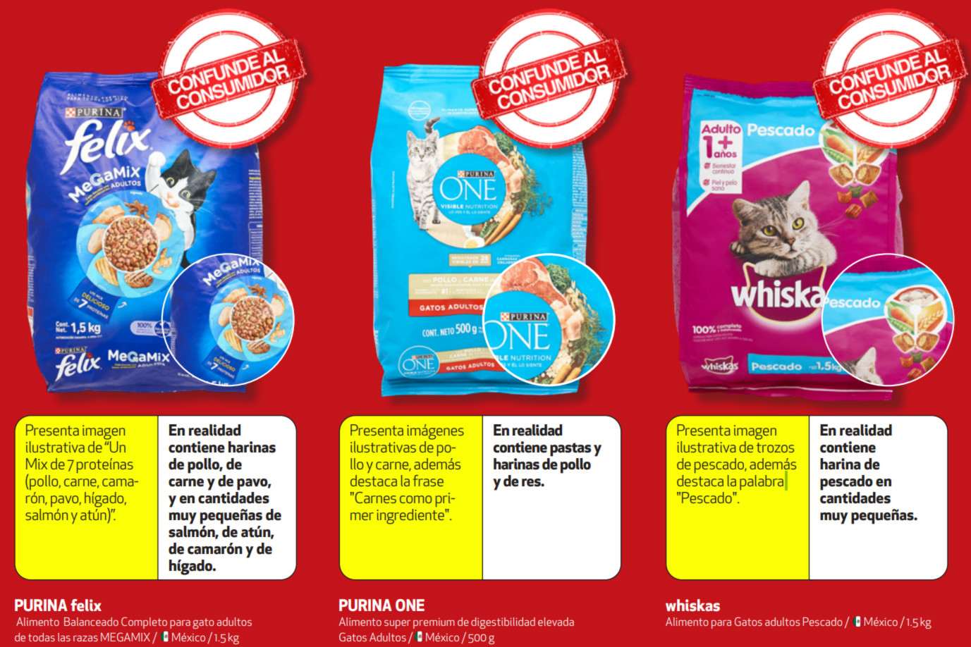 croquetas-gatos-profeco-estudio–