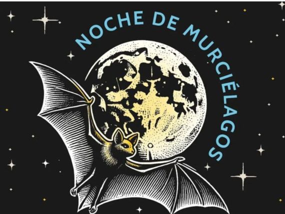 Noche de murciélagos en CDMX: plan gratis en Chapultepec