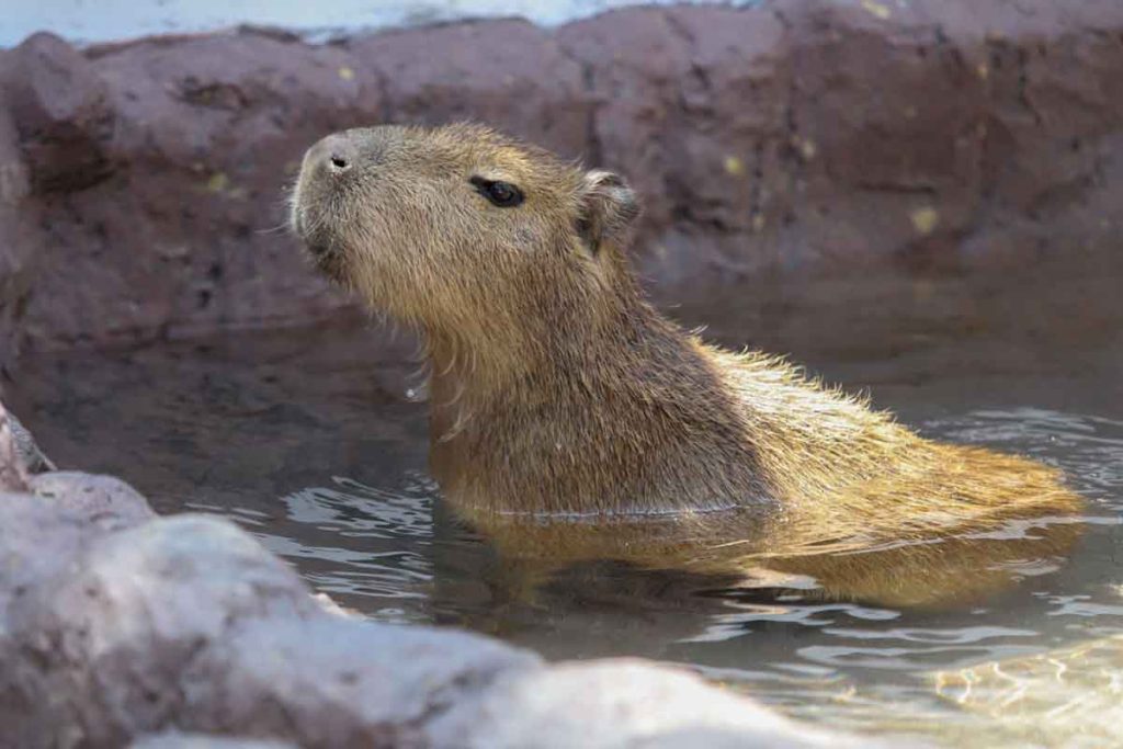 Arma un plan en familia en la CDMX y aprovecharla al máximo, sin importar si buscas algo tranquilo, divertido o totalmente diferente.