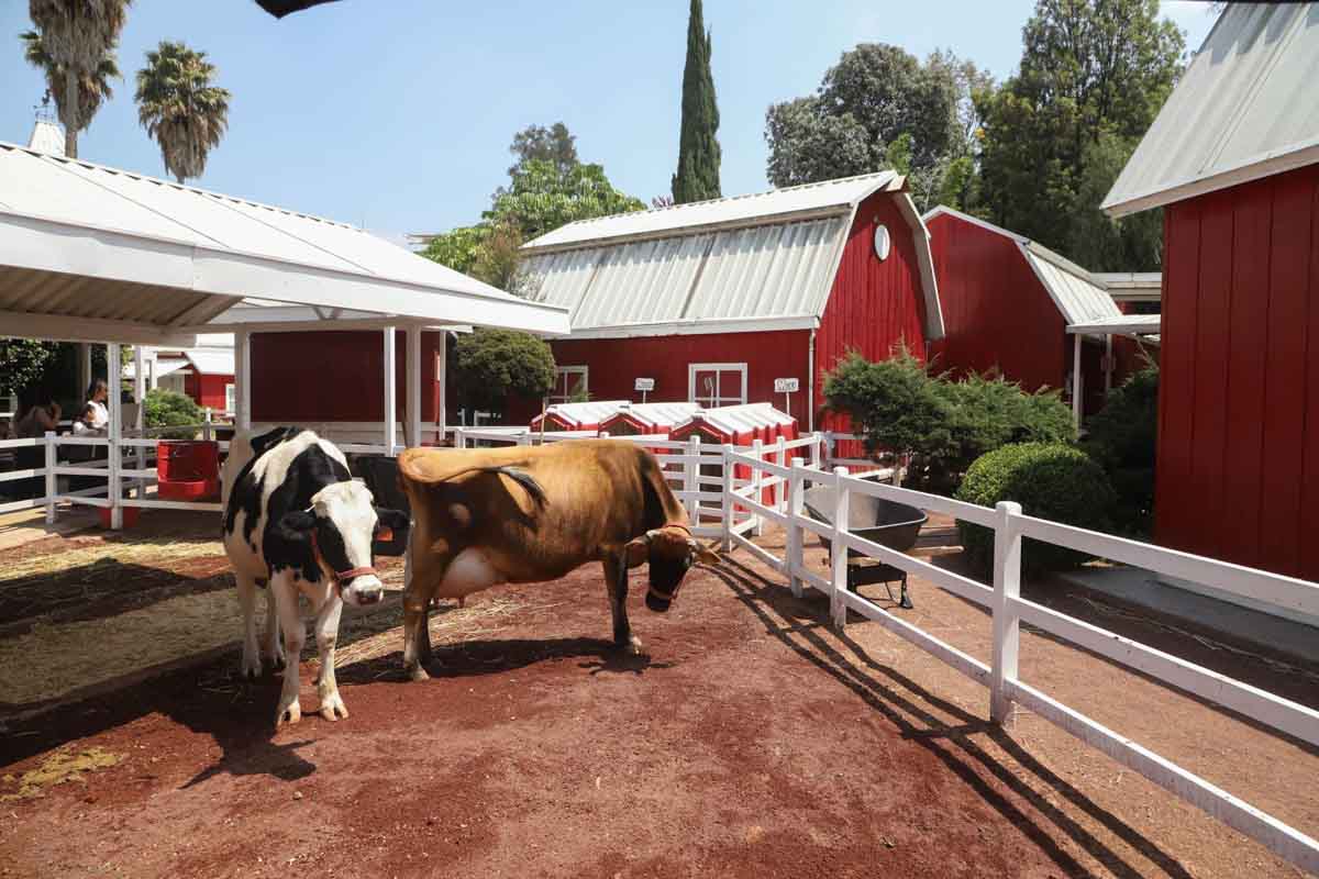 familiar-granja-las-americas