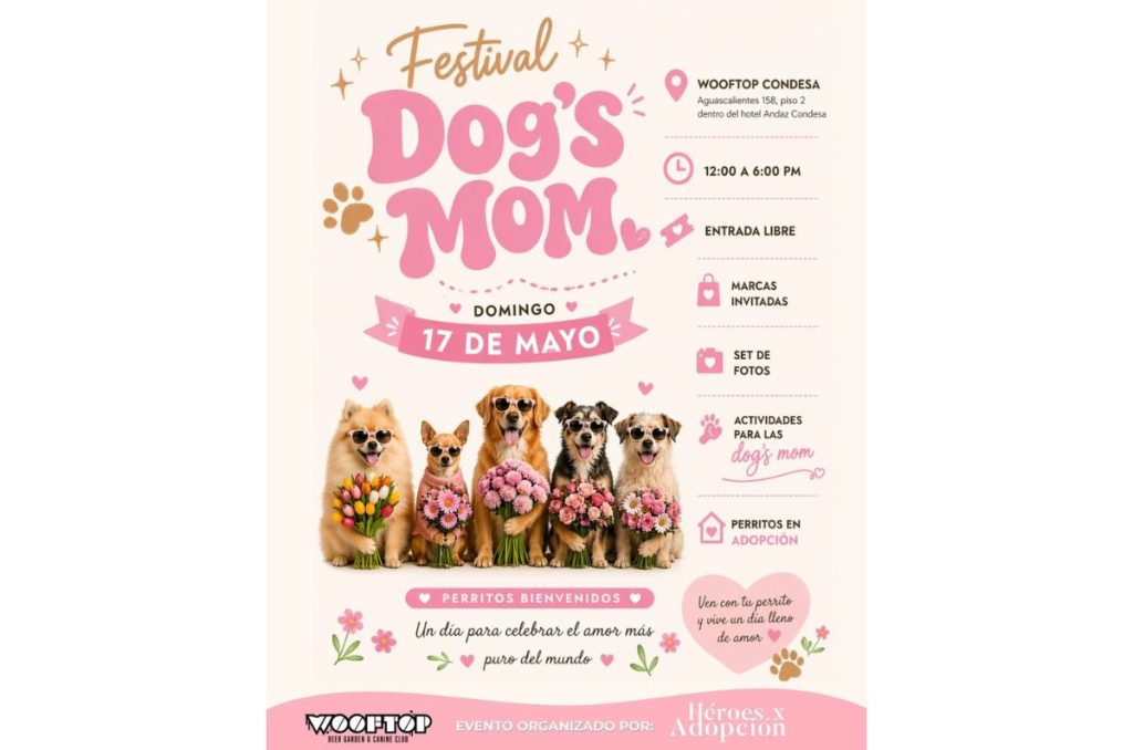 
Festival Dog’s Mom: evento pet friendly en Wooftop Condesa