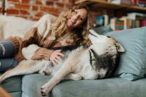¿Tienes perrihijos? Festival Dog’s Mom en Wooftop Condesa con entrada libre