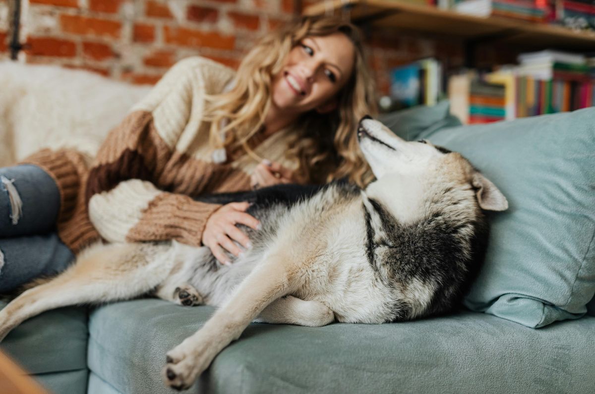 ¿Tienes perrihijos? Festival Dog’s Mom en Wooftop Condesa con entrada libre