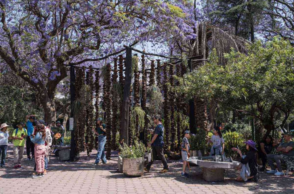 El Festival de Flores y Jardines regresa a CDMX del 30 de abril al tres de mayo con actividades de paisaje, diseño y arquitectura orgánica.