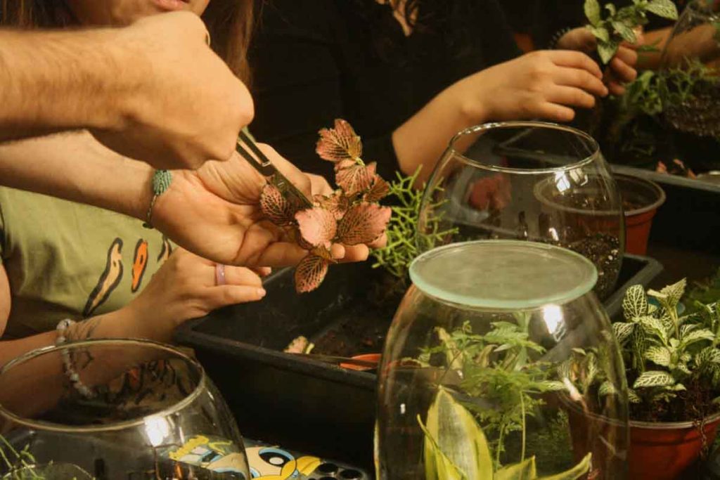El Festival de Flores y Jardines regresa a CDMX del 30 de abril al tres de mayo con actividades de paisaje, diseño y arquitectura orgánica.