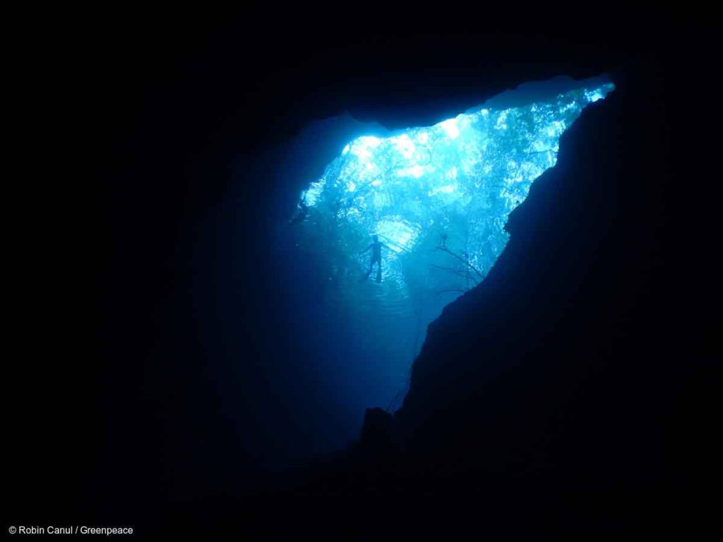 Cómo realizar un viaje sustentable por la Selva Maya, la segunda más grande de América, para poder conservarla y difundir su importancia