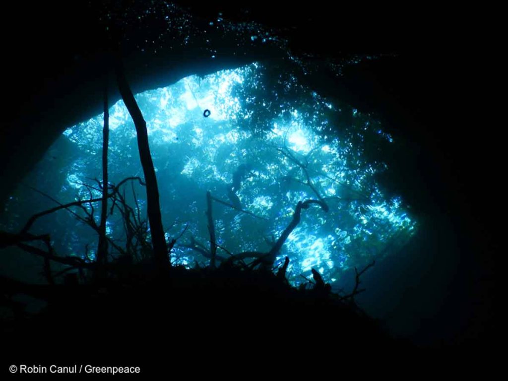 Cómo realizar un viaje sustentable por la Selva Maya, la segunda más grande de América, para poder conservarla y difundir su importancia