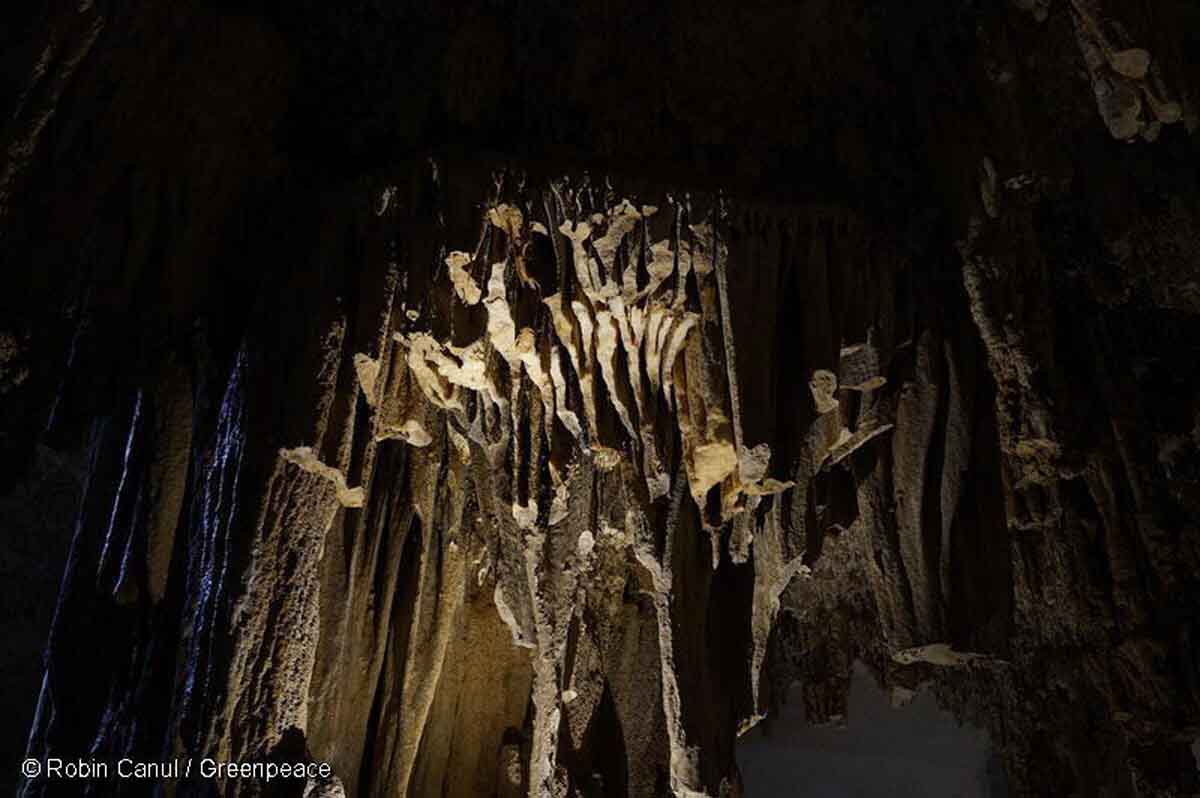 Canunchen Cenote, Homun, Yucatan, MexicoCenote Canunchén, Homún, Yucatán